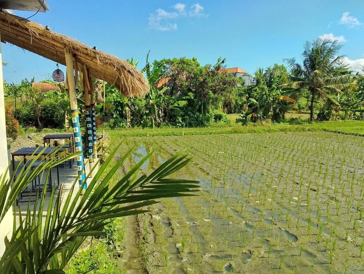 Country house Deluxe Room Puri Uma Dewi Room Only Ubud